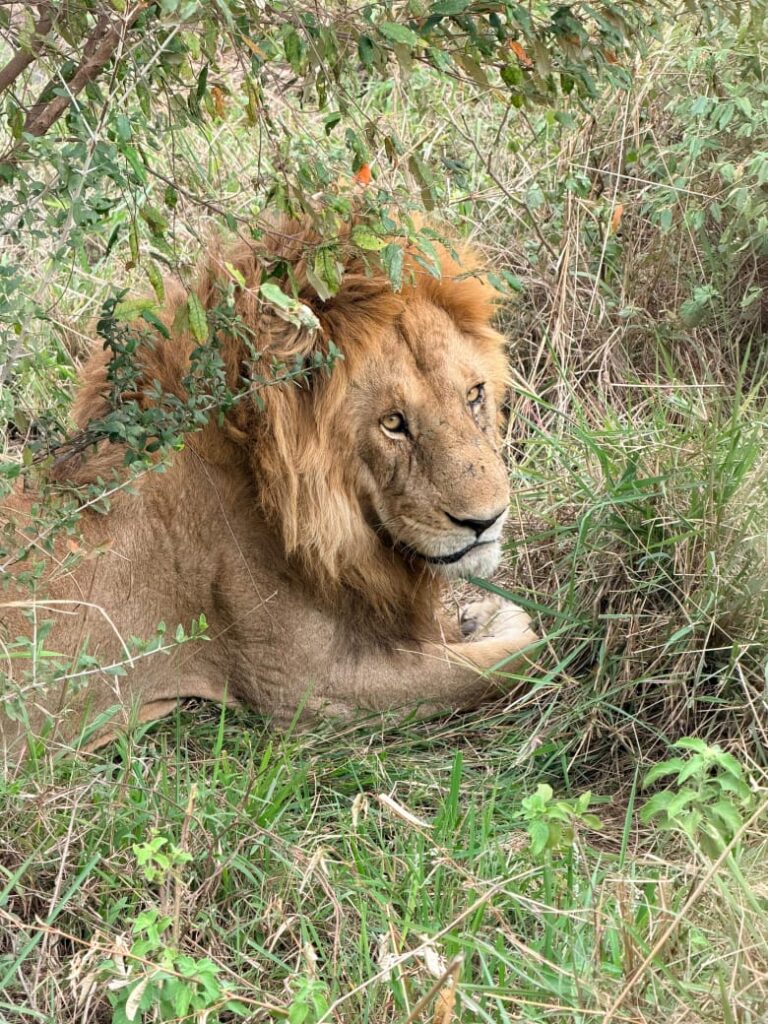 whatsapp image 2025 11 20 at 9.45.52 am