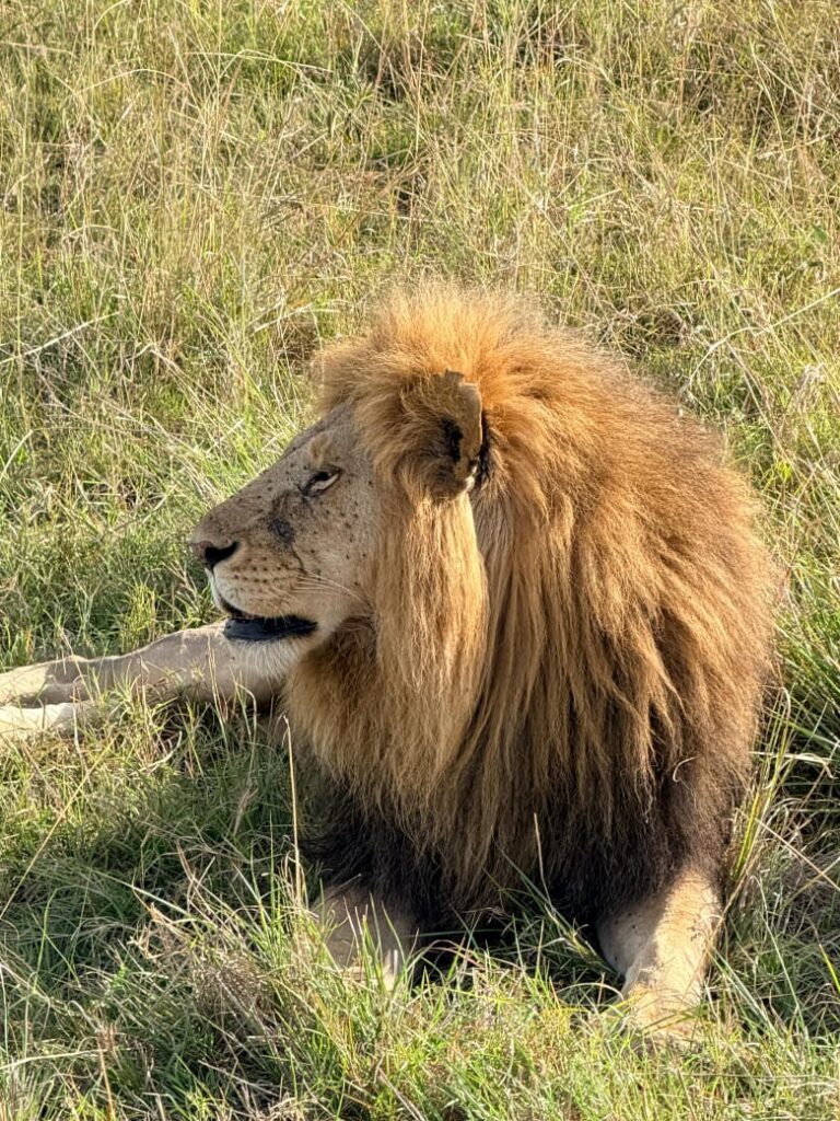 whatsapp image 2025 11 20 at 9.45.57 am