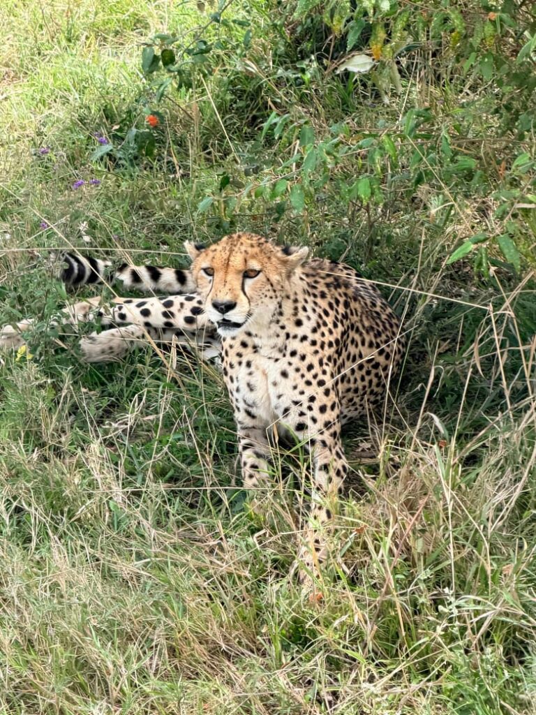 whatsapp image 2025 11 20 at 9.46.06 am