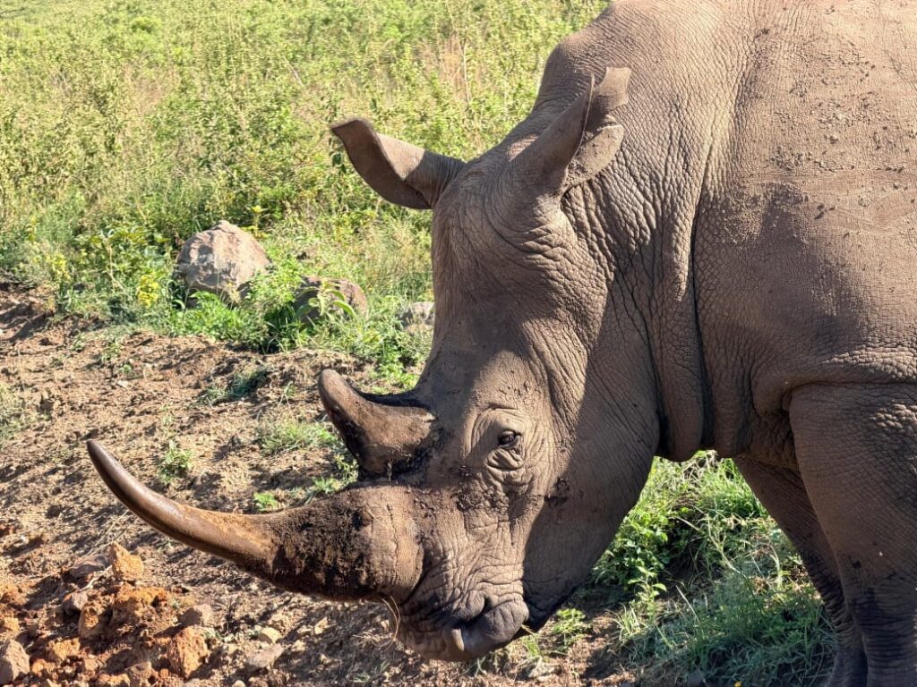 whatsapp image 2025 11 20 at 9.46.07 am