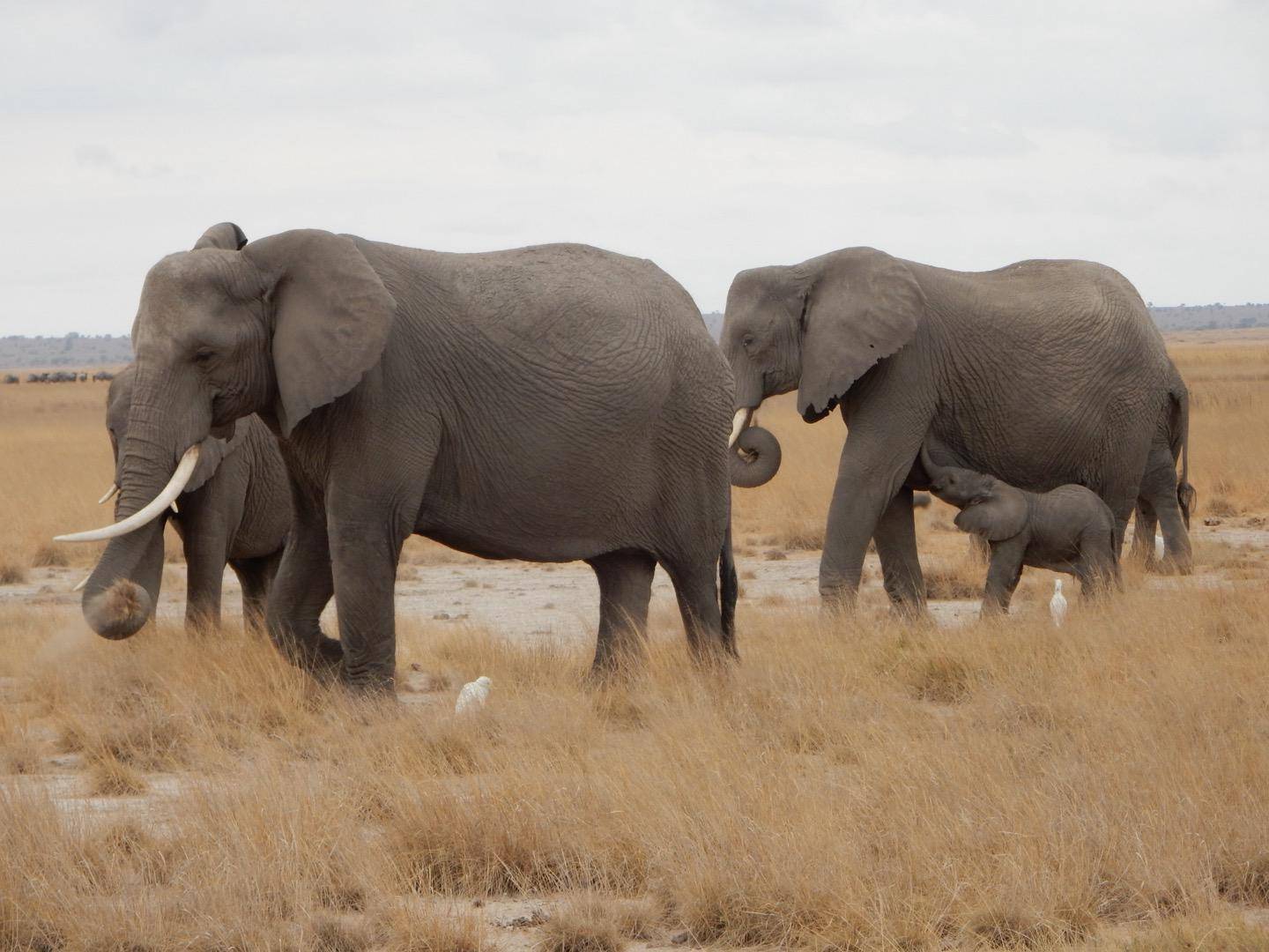 WhatsApp Image 2025 11 20 At 9.46.07 AM 1