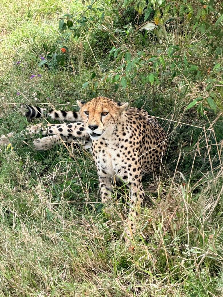 WhatsApp Image 2025 11 20 At 9.46.06 AM